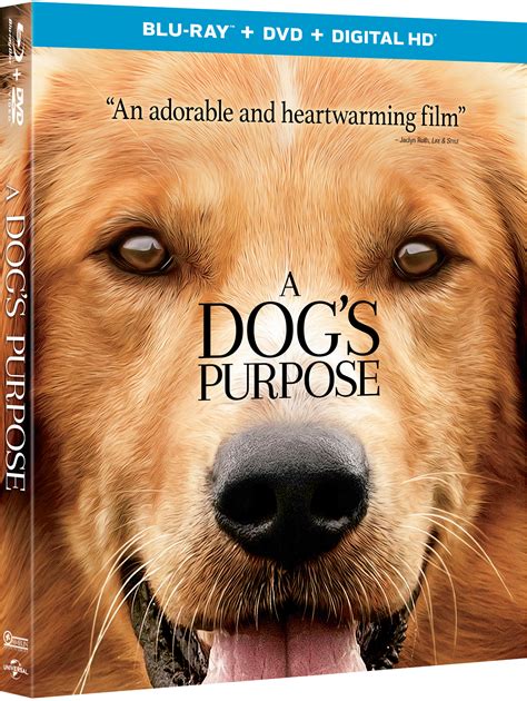 watch a dog's purpose online for free